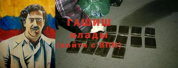 mdpv Ельня
