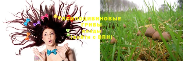 бутират Елизово