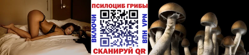 Псилоцибиновые грибы мухоморы  Канск 