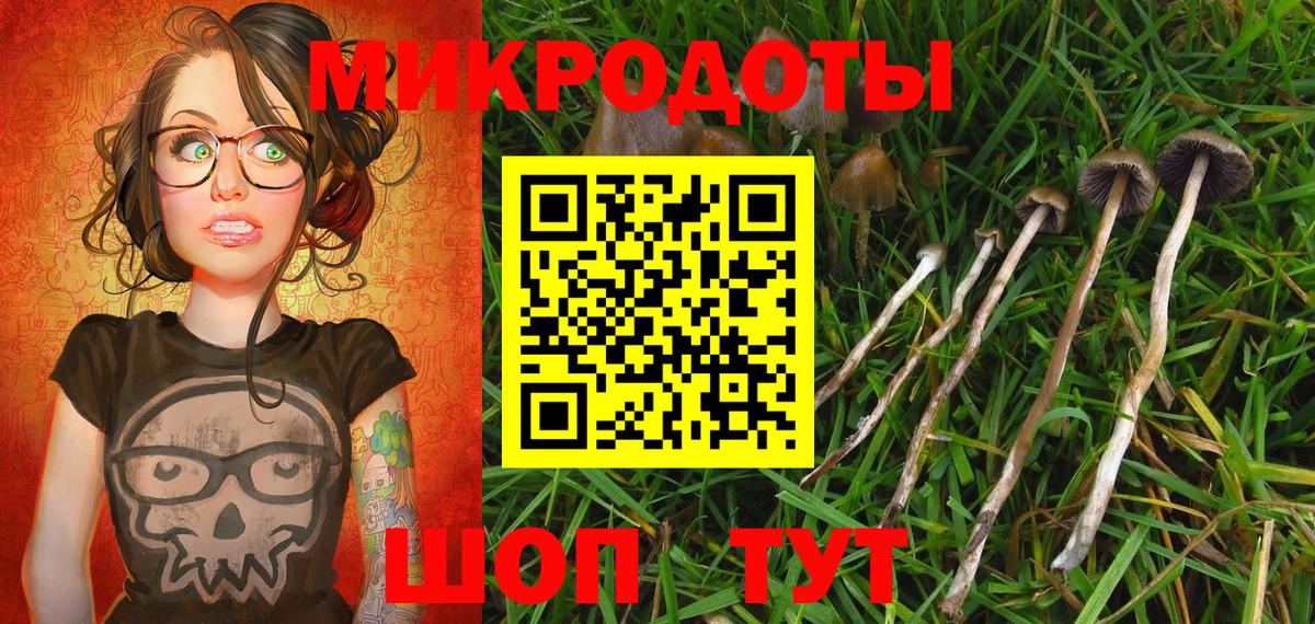 Галлюциногенные грибы Psilocybe  Вход с VPN  Канск 